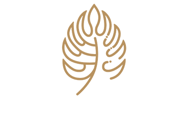 Monstera Nature